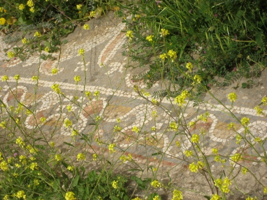 Ancient mosaic floor with wild flowers growing over it